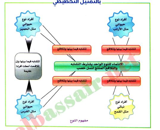 الدرس مفهوم النوع عند الكائنات الحيه